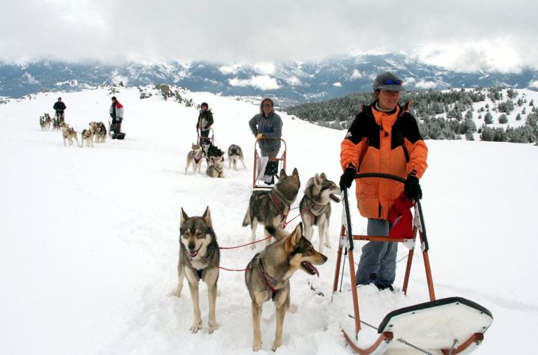 chiens-de-traîneau Font-Romeu
