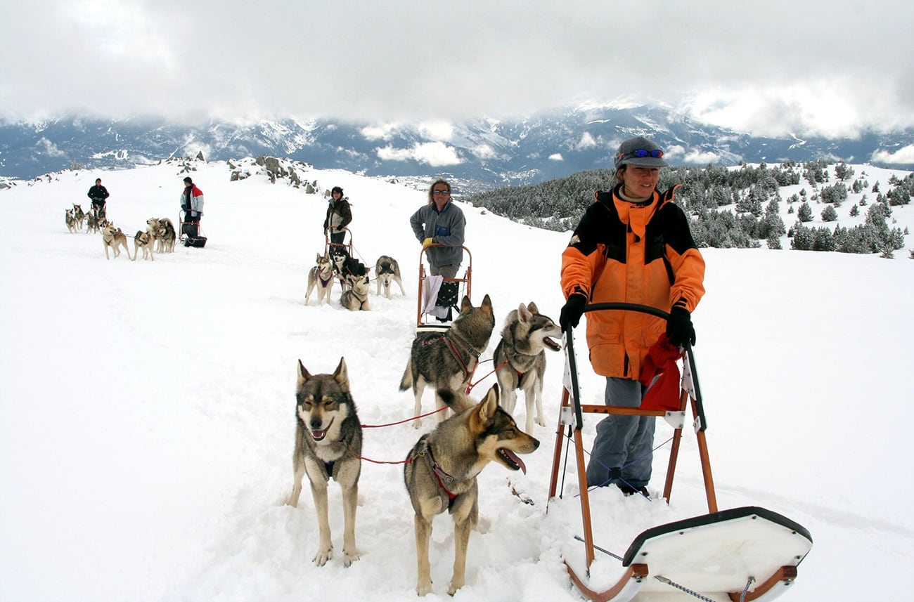 Chiens de traineau Font-Romeu