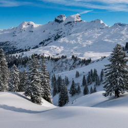 Header- Offre de Noël - Hôtel Carlit